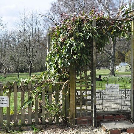 Bed and Breakfast Little Tidebrook Farm Wadhurst Exteriér fotografie